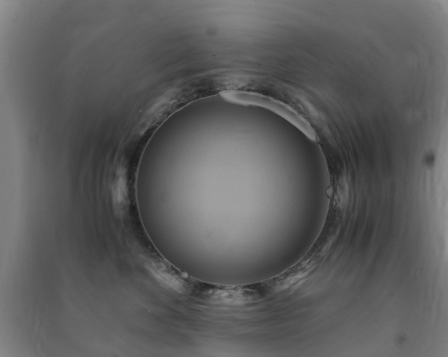 X0000091500524200708161501