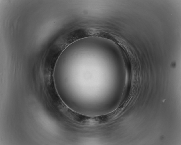 X0000091500525200708161501