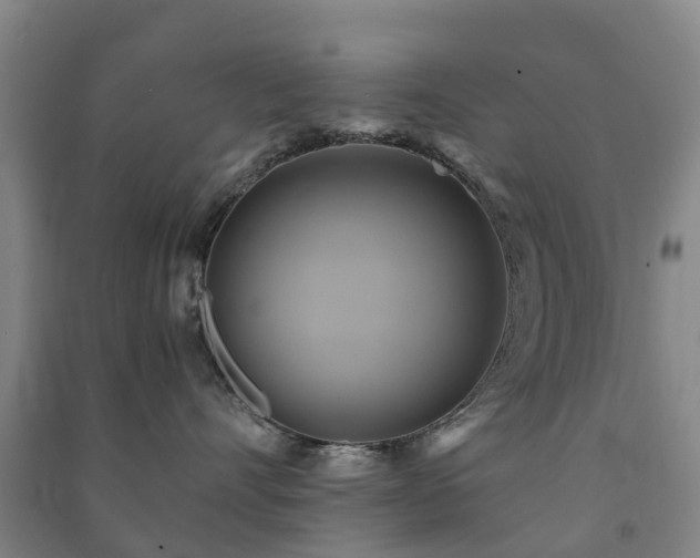 X0000091500528200708161501