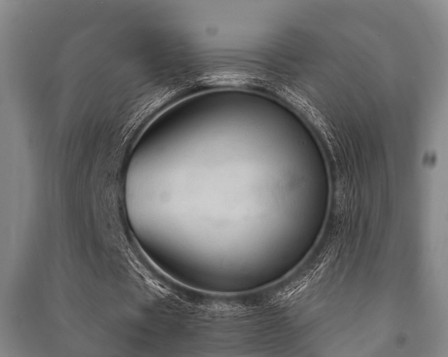 X0000091500529200708161500