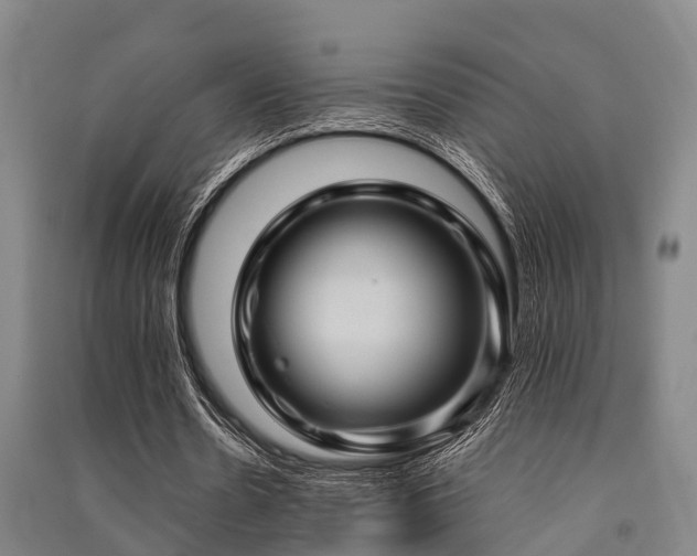 X0000091500530200708161500