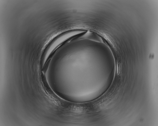X0000091500531200708161500