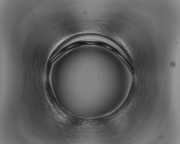 X0000091500532200708161500