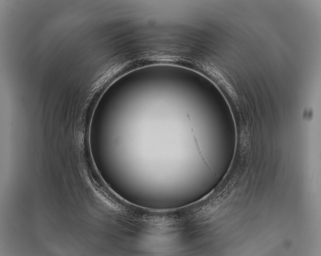 X0000091500533200708161500