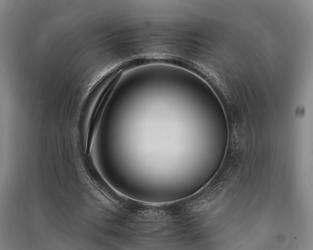 X0000091500535200708161500