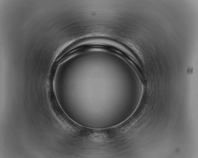 X0000091500536200708161500