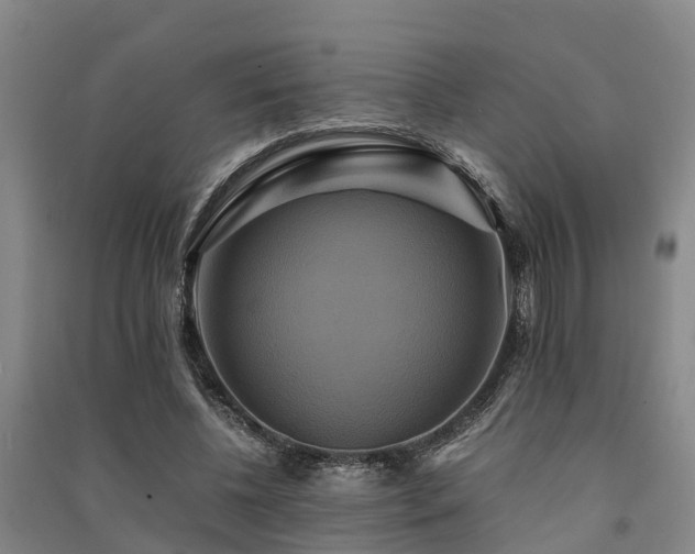 X0000091500540200708161500