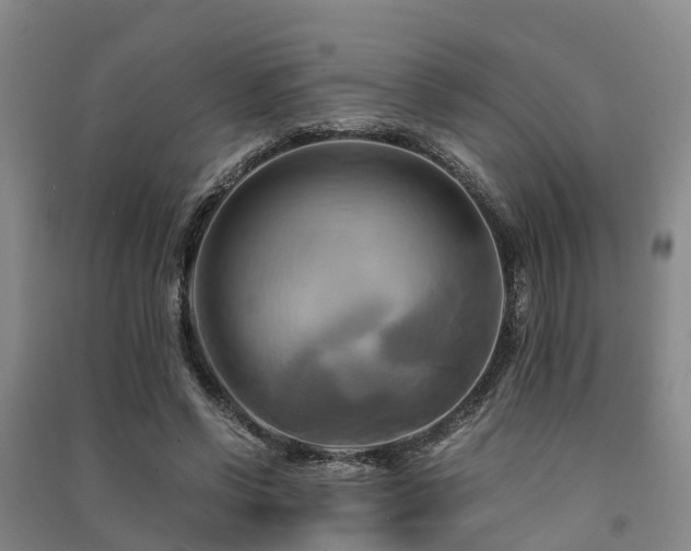 X0000091500542200708161500