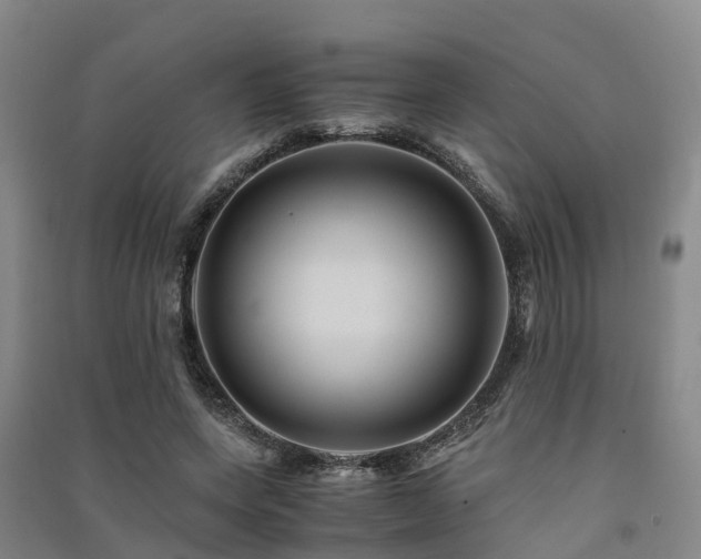 X0000091500543200708161501