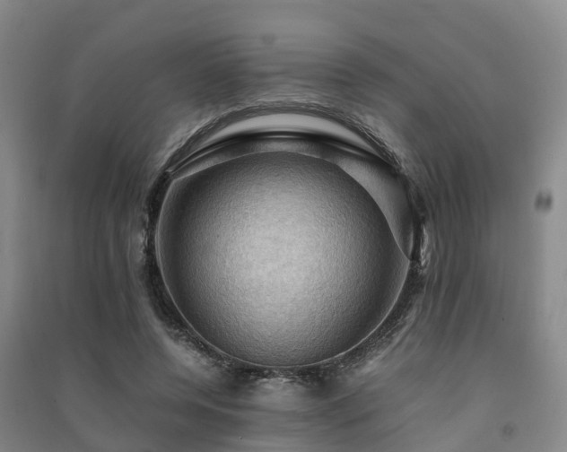 X0000091500544200708161501
