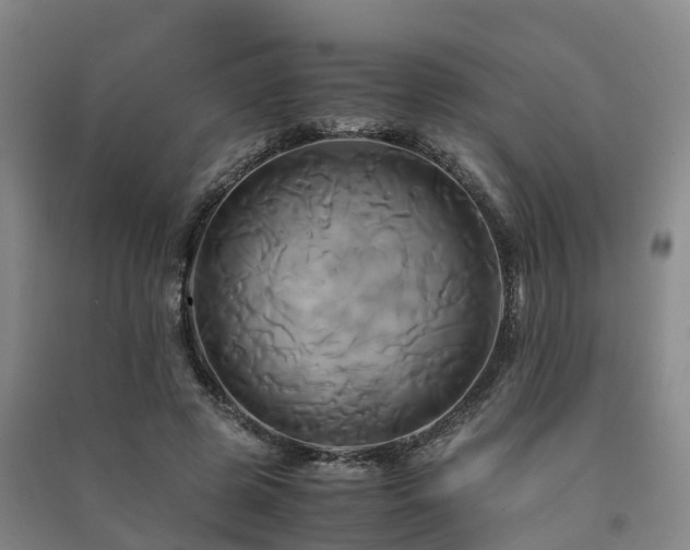 X0000091500545200708161501