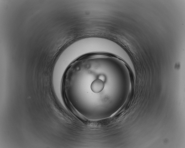 X0000091500546200708161501