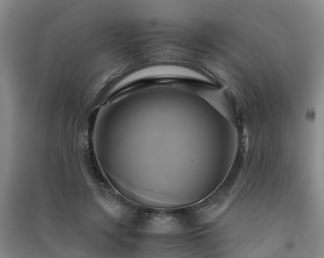 X0000091500547200708161501