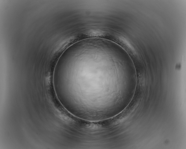 X0000091500549200708161501