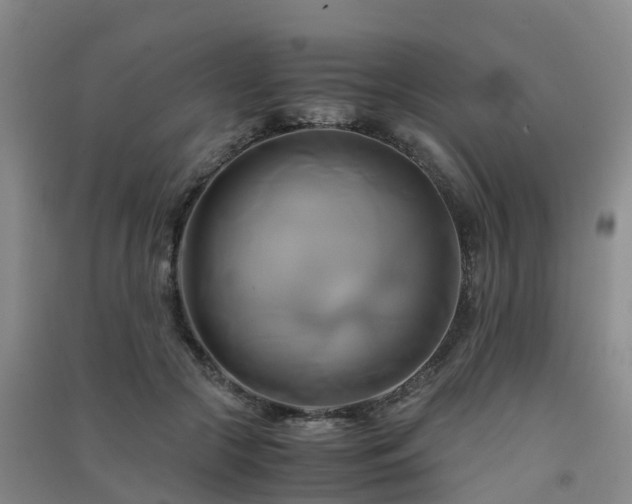 X0000091500553200708161501