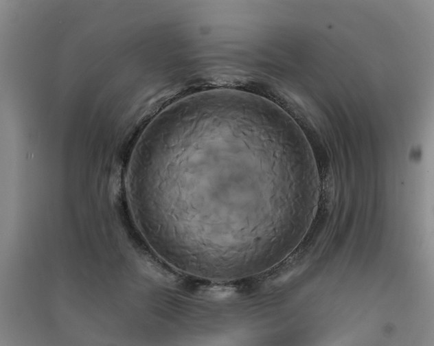 X0000091500554200708161501