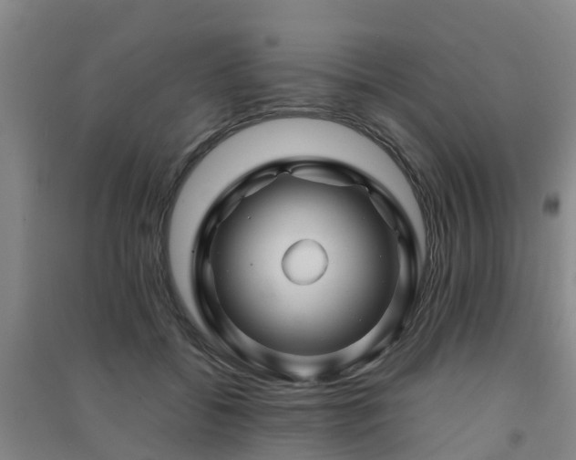 X0000091500556200708161501