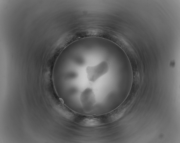 X0000091500557200708161501