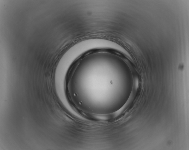 X0000091500558200708161501