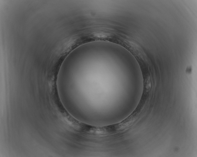 X0000091500559200708161501