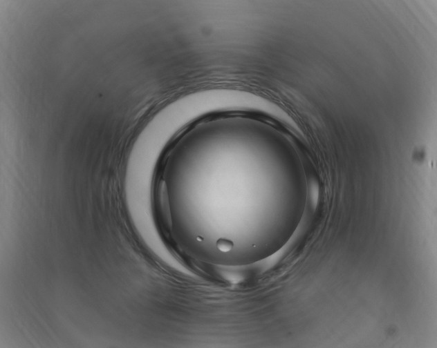 X0000091500560200708161501