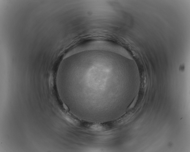 X0000091500562200708161501
