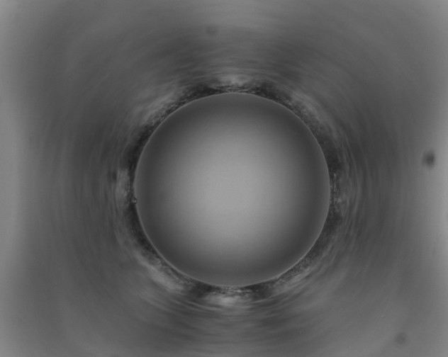 X0000091500563200708161501