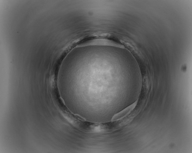 X0000091500564200708161501