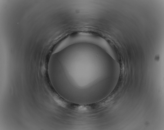 X0000091500566200708161501