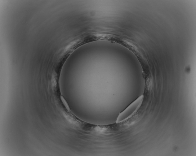 X0000091500570200708161501