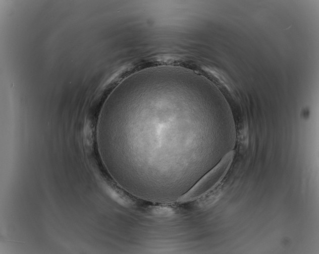 X0000091500572200708161501