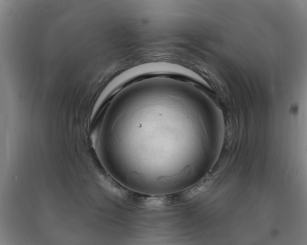 X0000091500574200708161501