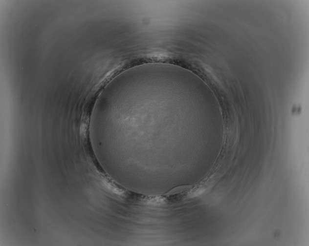 X0000091500576200708161501