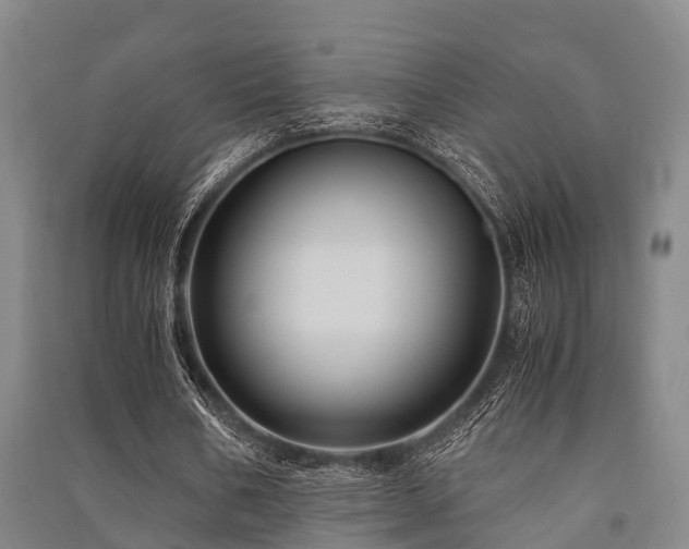 X0000091500578200708161500