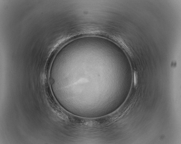 X0000091500579200708161500