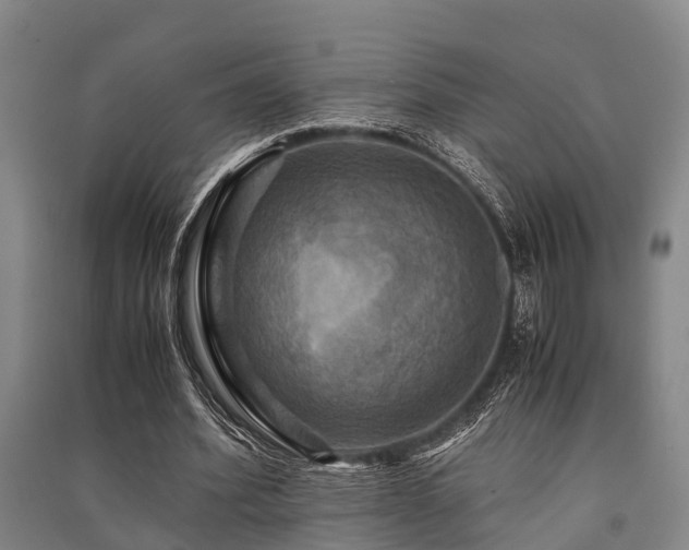 X0000091500580200708161500