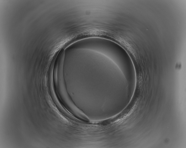 X0000091500581200708161500