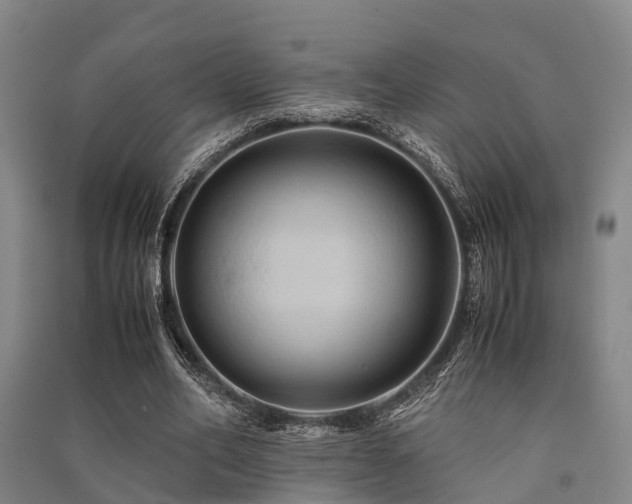 X0000091500582200708161500