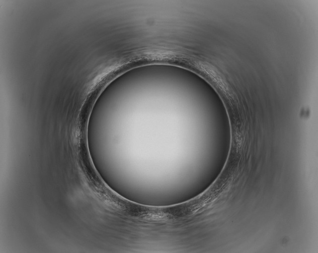 X0000091500583200708161500