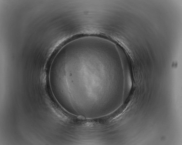 X0000091500584200708161500