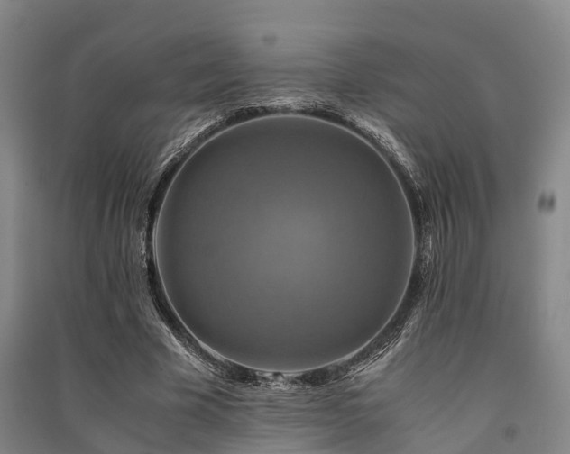 X0000091500585200708161500