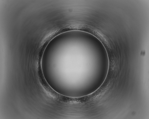 X0000091500586200708161500