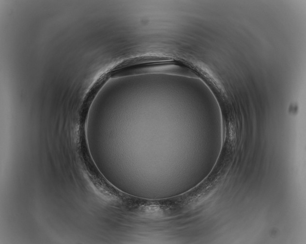 X0000091500588200708161500
