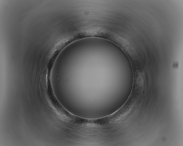 X0000091500590200708161500