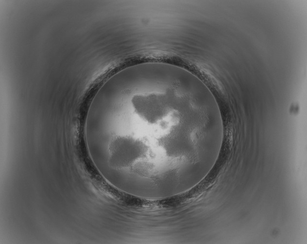 X0000091500591200708161500