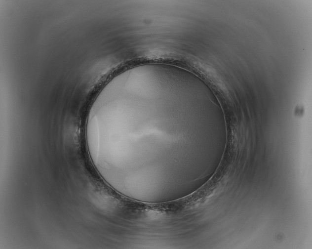 X0000091500592200708161500