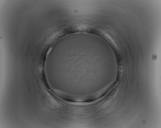 X0000091500593200708161500