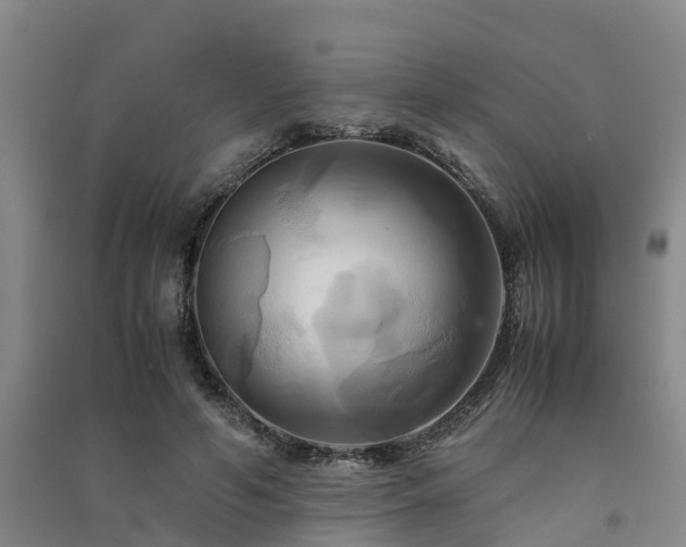 X0000091500594200708161500