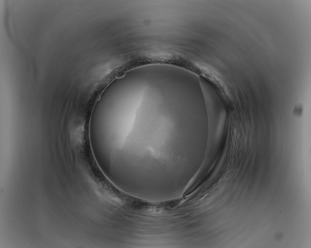 X0000091500596200708161500