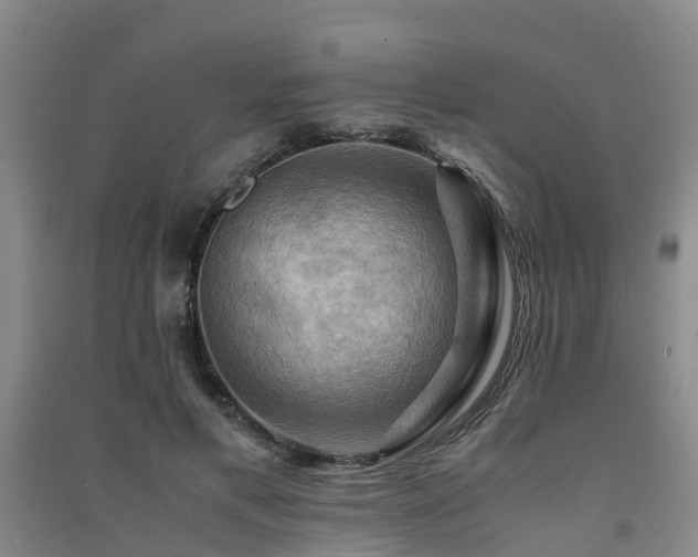 X0000091500597200708161500